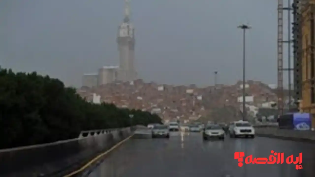 عاجل التعليم السعودية يعلن.. تعليق الدراسة الحضورية اليوم لمدارس 7 مناطق بالسعودية 2025